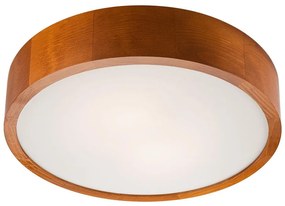 Lamkur LED Stropné svietidlo 1xLED/24W/230V - FSC certifikované LA28804