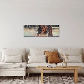 Obraz - Bežiaci kôň (s hodinami) (90x30 cm)