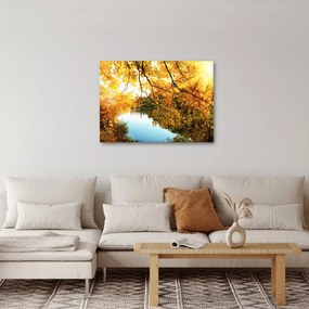 Obraz - Jesenný strom (70x50 cm)