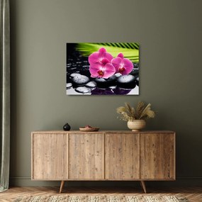 Sklenený obraz - Ružové orchidey s palmovým listom (70x50 cm)