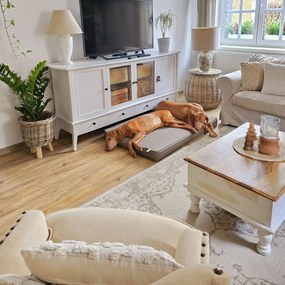 Hanse Home, Kusový koberec Beach 103854 Cream / Beige – na von aj na doma, 120x170, biela, chodba / predsieň