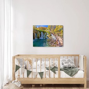 Obraz - Vstup na vodopády (70x50 cm)