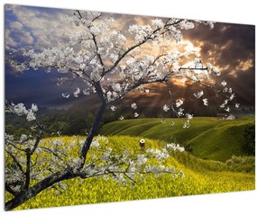 Obraz - Rozkvitnutý strom v krajine (90x60 cm)