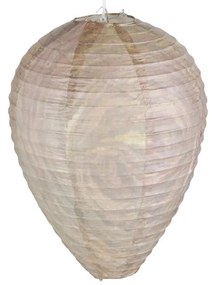 Papierový odpudzovač ôs – Esschert Design