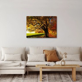 Obraz jesene (70x50 cm)