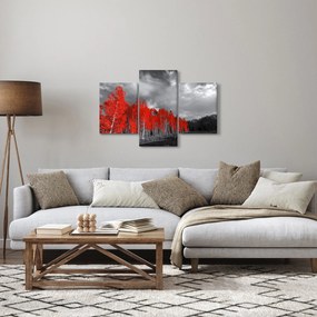 Obraz - Stromy vo farbe jesene (90x60 cm)