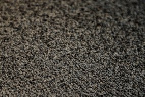 Rinos bv, Rohožka Care & Clean beige, 60x90, béžová, chodba / predsieň