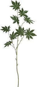 Okrasný list Papaya - 122cm