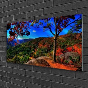 Obraz na skle Hora les príroda 120x60 cm