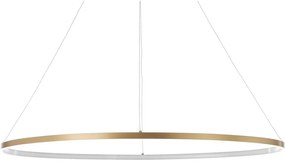Závesné LED-svietidlo „Oval Ring", 100 x 60 x 92 g