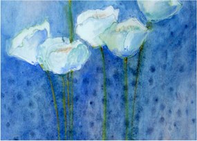 Sklenený obraz - Biele tulipány (70x50 cm)