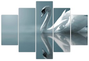 Obraz - Biela labuť (150x105 cm)