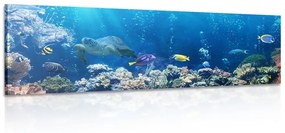 Obraz tropické rybky - 150x50