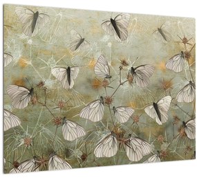 Sklenený obraz - Vintage motýle (70x50 cm)