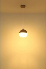 Globo 15999H - Závesné svietidlo na lanku RAGUSA 1xE27/60W/230V pr. 20 cm