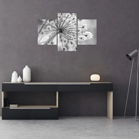 Obraz - Kvetina v zime (90x60 cm)