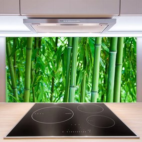 Nástenný panel  Bambus stonka rastlina 140x70 cm