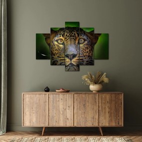 Obraz - Portrét leoparda, Sri Lanka (150x105 cm)