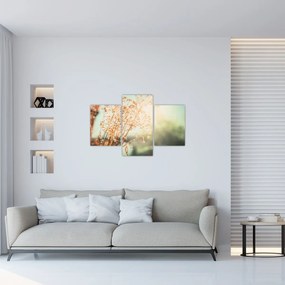 Obraz - Rastliny po daždi (90x60 cm)