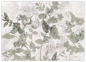 Sklenený obraz - Rastliny v omietke (70x50 cm)
