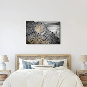Obraz - Kmeň stromu v koláži (90x60 cm)