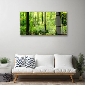 Skleneny obraz Les zeleň stromy príroda 140x70 cm