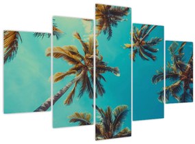 Obraz - Vysoké palmy (150x105 cm)