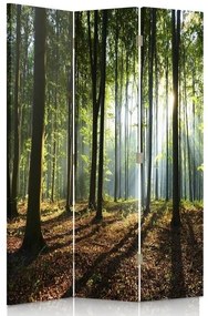 Gario Paraván Slnečné lúče v lese Rozmery: 110 x 170 cm, Prevedenie: Klasický paraván