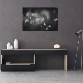 Obraz - Lúčna tráva (90x60 cm)