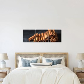 Obraz škorice (s hodinami) (90x30 cm)
