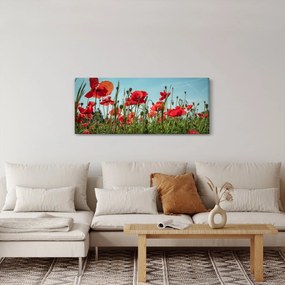 Obraz - Na poli vlčích makov (120x50 cm)