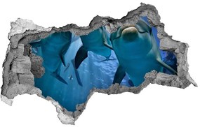 Diera 3D fototapeta na stenu Tri delfíny nd-b-119968160