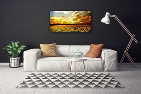 Obraz Canvas Pole slnečníc krajina 140x70 cm