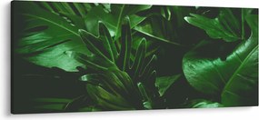 Obraz - Palmové listy (120x50 cm)