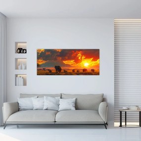 Obraz - Stádo slonov (120x50 cm)