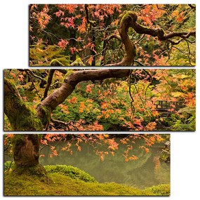 Obraz na plátne - Červený javor jeseň - štvorec 3241D (105x105 cm)