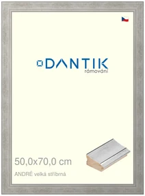 DANTIK rám na obraz 50x70 | ANDRÉ velká stříbrná (Plexi Čiré)