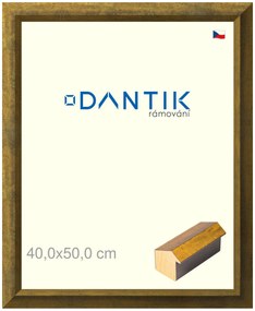 DANTIK rám na obraz 40x50 | Forgia Gold (Sklo Čiré)