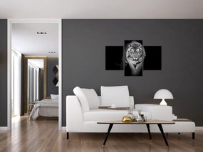 Obraz - Tiger so žltými očami (90x60 cm)