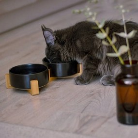 Súprava 2 ks keramických misiek pre psov a mačky Jax 450 ml čierna