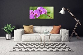 Obraz Canvas Vstavač orchidea kvety 100x50 cm