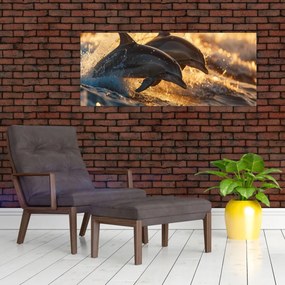 Obraz - Delfíny (120x50 cm)