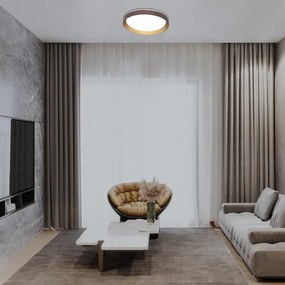 Rabalux 71308 - LED Stm. stropné svietidlo LADAN LED/48W/230V 3000-6500K + DO