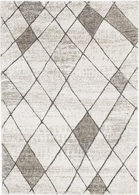 Oriental Weavers, Kusový koberec Castro Carved 4928/NQ2A, 200x280, béžová, kancelária