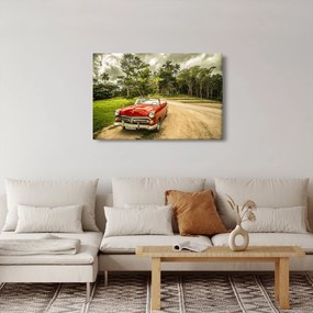 Obraz - auto veterán v prírode (90x60 cm)