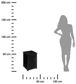 Kôš na bielizeň Sicela Black 65 l