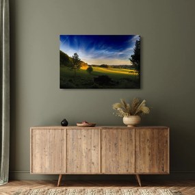 Obraz - Horská lúka (90x60 cm)