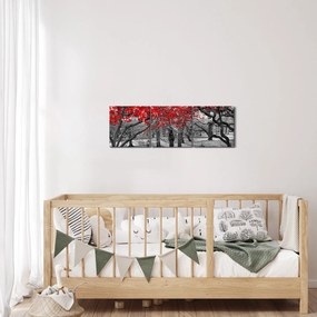 Obraz - Červené stromy, Central Park, New York (s hodinami) (90x30 cm)