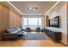 Globo 48459-48 - LED stmievateľné stropné svietidlo ANI LED/48W/230V 2700-6000K+DO