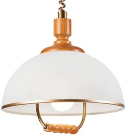 Sťahovací luster RAMONA 1xE27/60W/230V béžová/hnedá